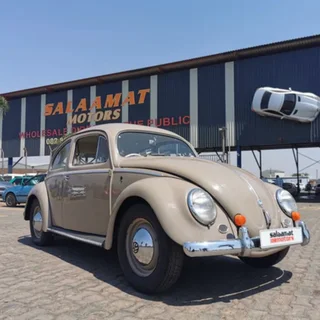 1957 Oval window beetle