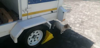 2022 model large dog trailer for sale