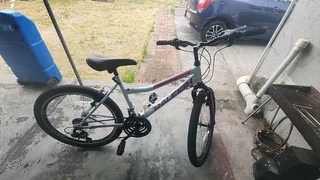 Raleigh 21 speed MTB - R1300 onco