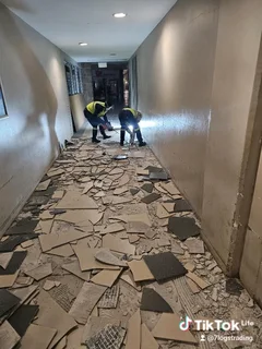 Painting and renovation