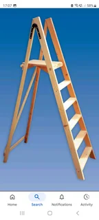 Ladders (wood step ladder and aluminum extending)