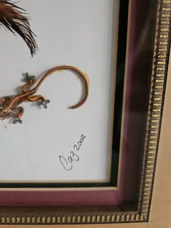 Very rare artwork using actual Pocurpine spines framed in heavy and decorated wood set in 3D