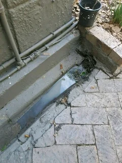 Mps Plumbers And Blocked Drains  - Grassy park
