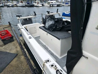 Butt Cat with Suzuki 150hp