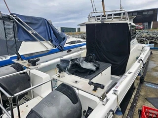 Butt Cat with Suzuki 150hp