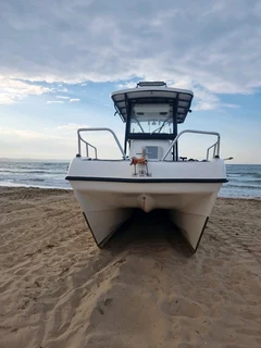 USA  Imported 22ft Cat from Carlolina Skiff