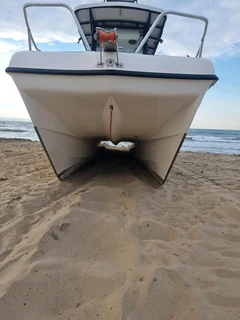 USA  Imported 22ft Cat from Carlolina Skiff