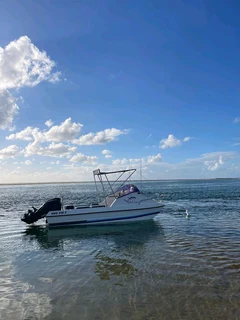 T Cat 16.8ft with Merc 4 strokes