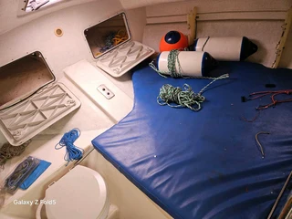 Lee Cat Expressa 800