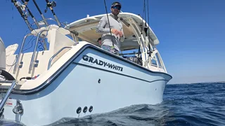 Grady White 307 Freedom