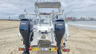 2019 Sea Cat 565 New spec beautiful 