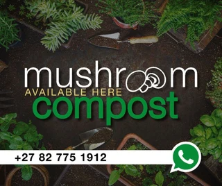 100% Mushrooms Compost For Sale