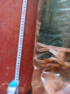 Umbrella with Earth Spike