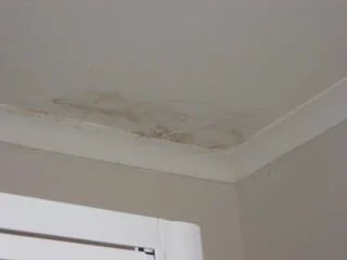 Roof Leak Repairs