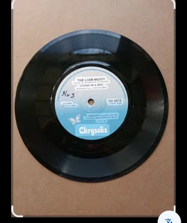 Vinyl 7" 45 RPM Single