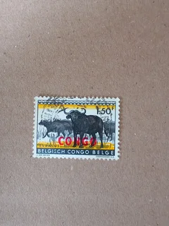 Congo, Democratic Republic  stamp