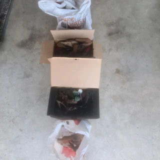 Womans Shoes for free