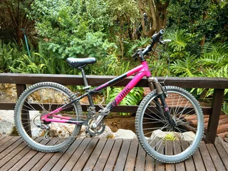 Mountain Bike - Avalanche Cosmic 24″