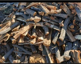 Rooikrans braai wood for sale