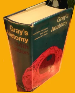 Book Gray's Anatomy