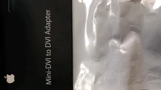 Mini-DVI to DVI adapter.