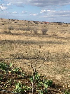 Farm/Housing Development Land Free State 23.1 Hectares