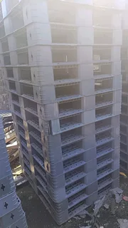Plastic Pallets for sale