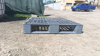 Plastic Pallets for sale