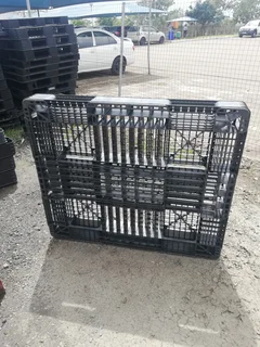 Plastic Pallets for sale