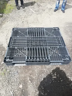 Plastic Pallets for sale