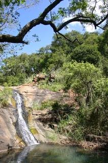 Own a share in a 10 Sleeper Lodge in Doornkop Fish &amp; Wildlife Reserve