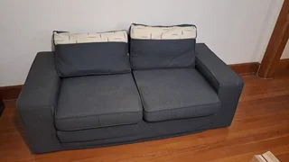 Grey sleeper couch for sale