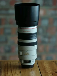 Canon 100mm-400mm L lens