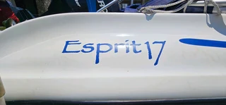 17ft Esprit Boat with 200hp Mariner also rigged rigged for bass fishing