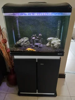 66 litre BOYU Fish Tank & Cabinet