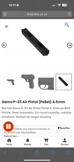 Gamo P25 Blowback