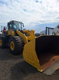 2020 Komatsu WA480 FEL