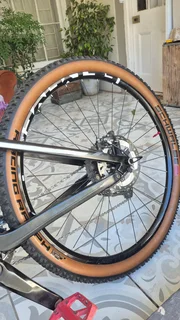 Cube AMS 100 C:68 Race 29 (2018)