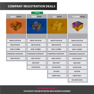 Company Registration
