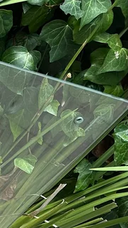 Glass splashback or notice board