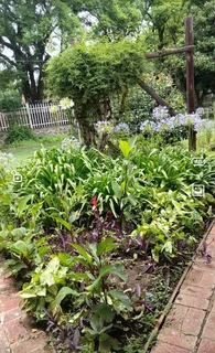 1 bedroom bachelor apartments