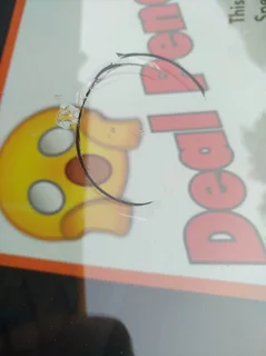 Mobile Windscreen Chip Repairs