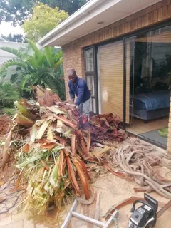 TREE FELLING SERVICES