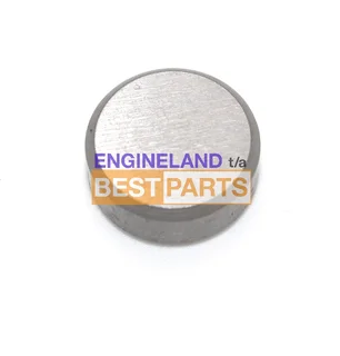 Kia K2700 Cap Valve k2700 valve cap