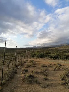 59 Hectare Private Farm