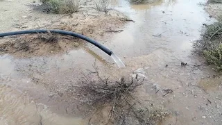 59 Hectare Private Farm