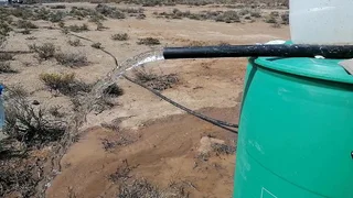 59 Hectare Private Farm