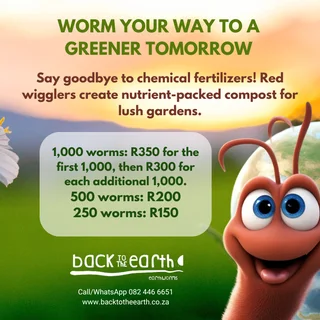 Red Wiggler Earthworms (Eisenia Foetida)