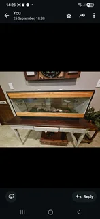 Bearded Dragon and enclosure