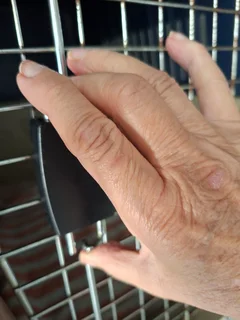 Pet travel cage